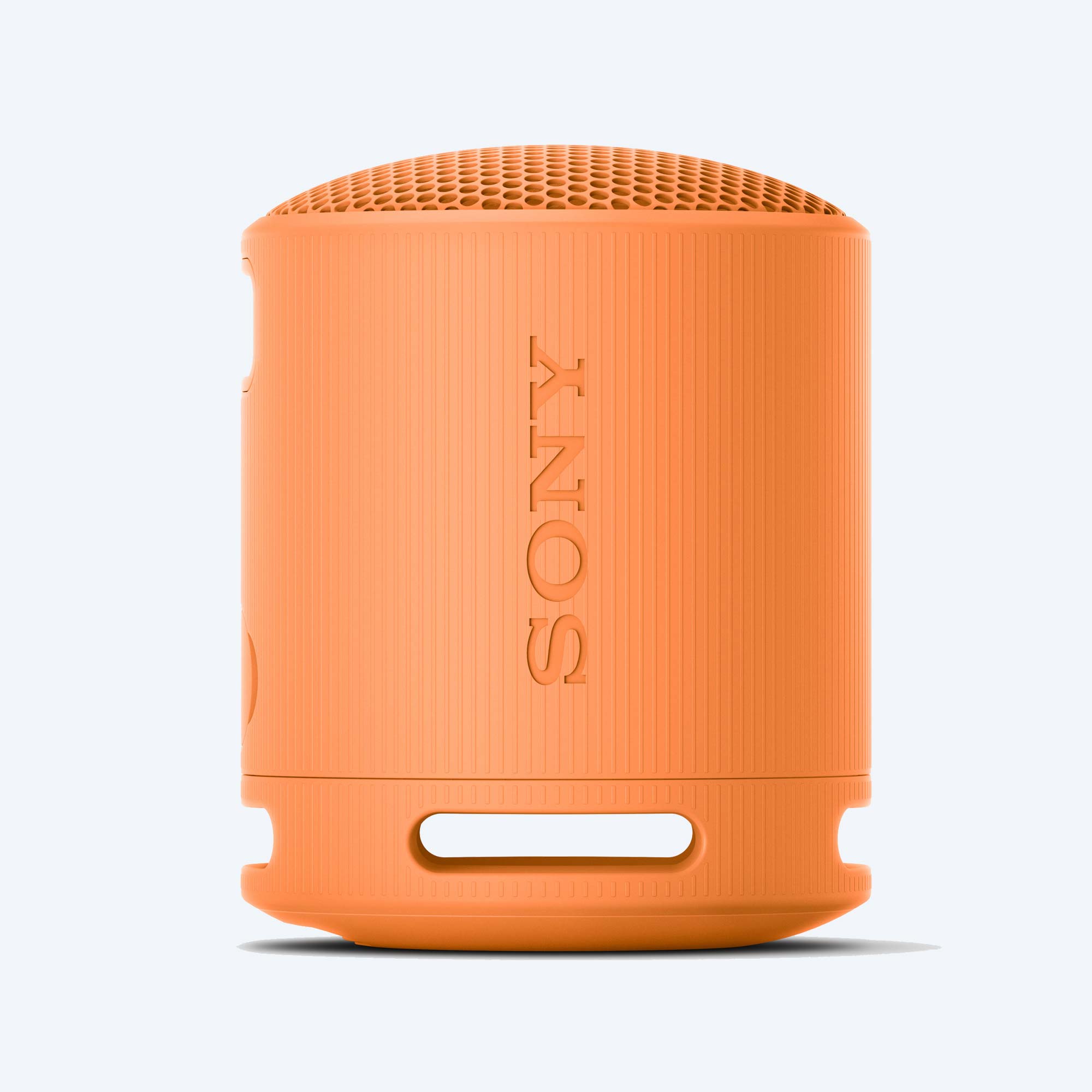 Buy Online Sony XB100 Portable Wireless Speaker – Sony World -ZA