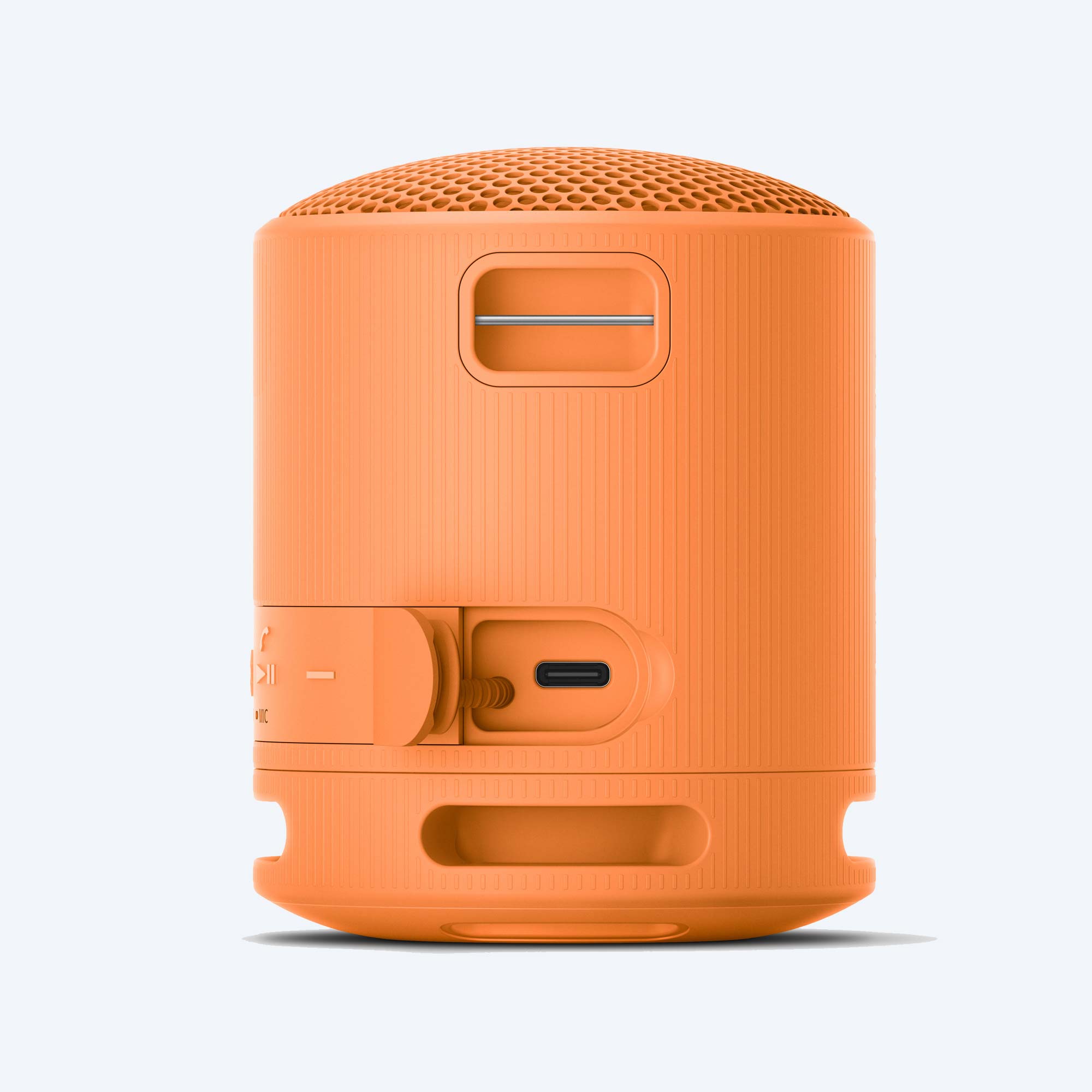 Buy Online Sony XB100 Portable Wireless Speaker – Sony World -ZA