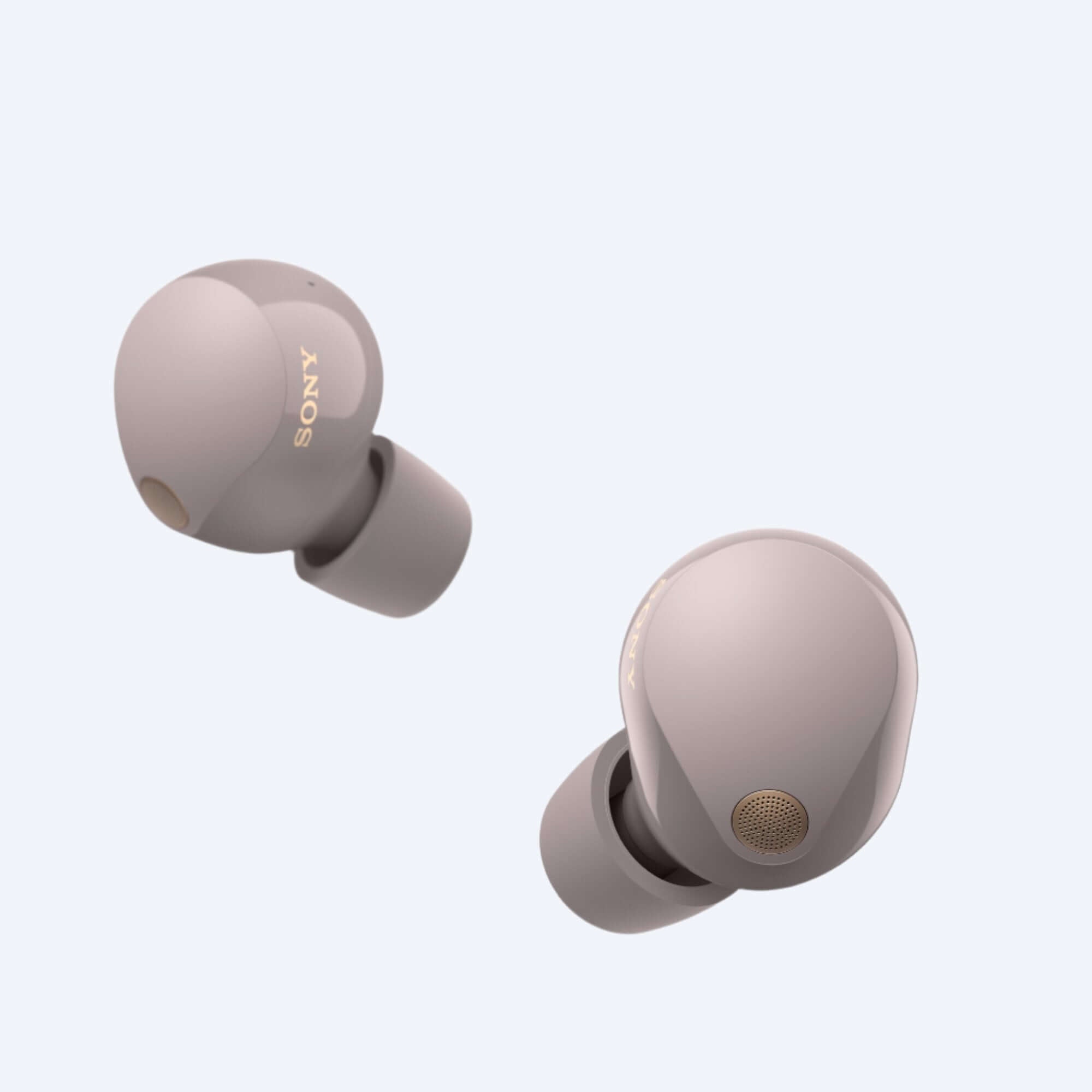 Buy Online Sony WF-1000XM5 Truly Wireless Noise Cancelling Earbuds