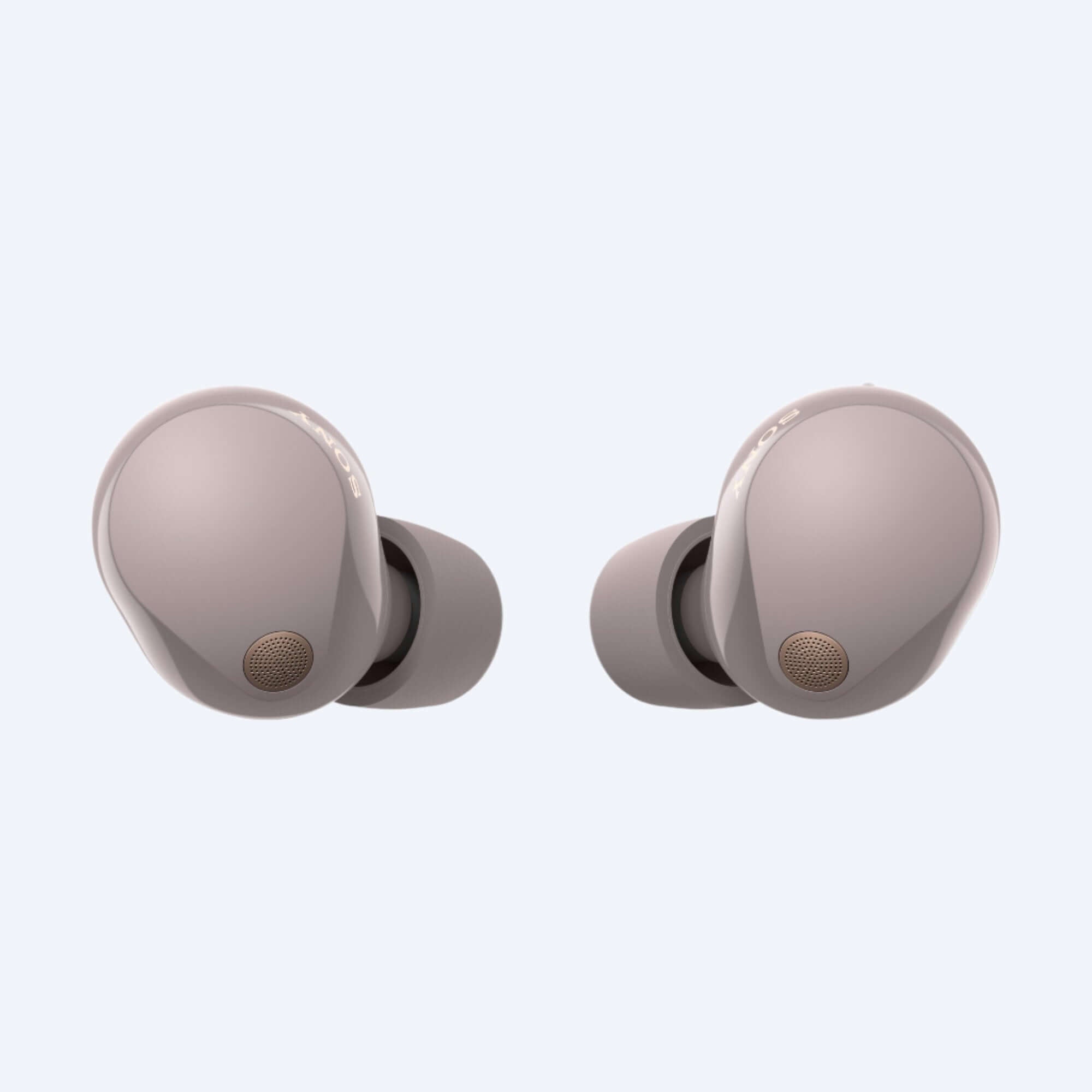 Buy Online Sony WF-1000XM5 Truly Wireless Noise Cancelling Earbuds